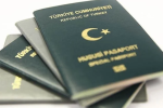yeşil pasaport