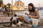 Kediye yaş mama ne sıklıkla verilmeli